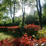 DEMEURE D'EXCEPTION SUR PARC DE 2 HA