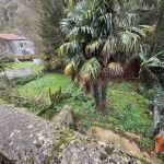 Appartement T3 en rez-de-chaussée avec jardin – Verdalle (4 km du centre)