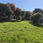 Maison de village 3 chambres, garage et jardin