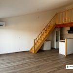 Castres Centre Ville - Appartement T5 Duplex