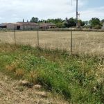 Beau terrain de 1275m2 plat et bien exposé Blan (81700)